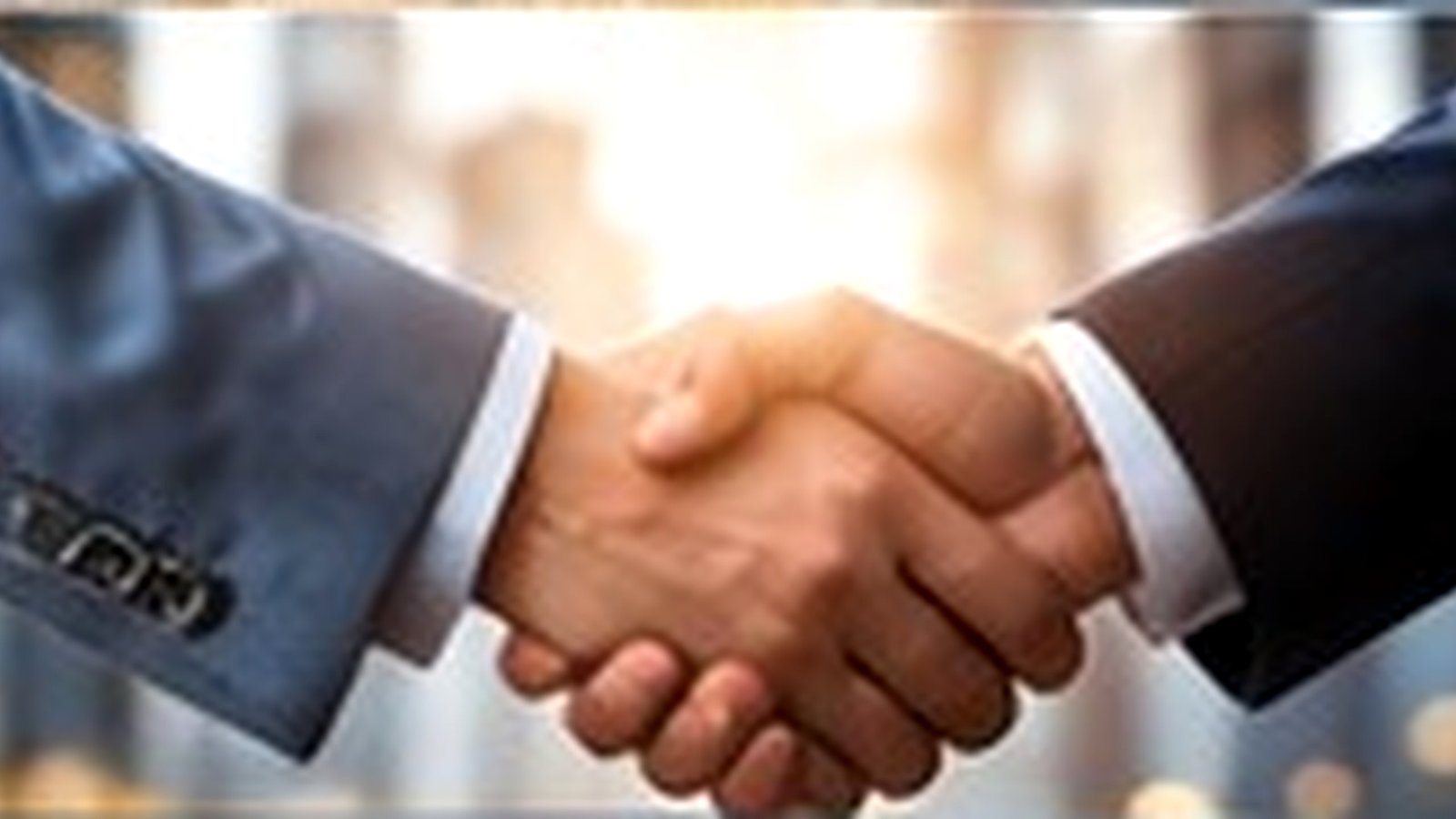 Business partnership